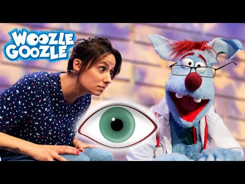 Wie funktioniert das Auge? l WOOZLE GOOZLE