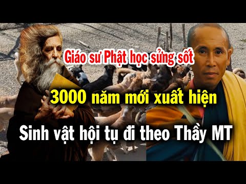 3000 Năm lịch sử mới xuất hiện điều kỳ lạ, các loài vật đều kéo nhau đi theo sau Thầy Minh Tuệ ở Ấn