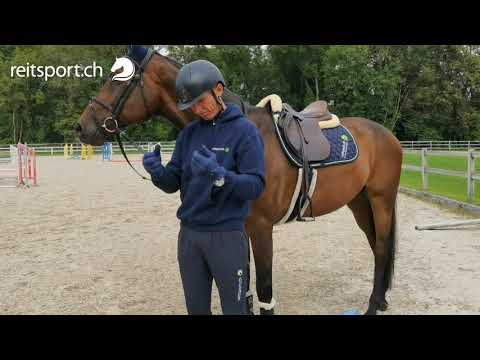 Reitsport Botschafter 2021