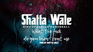 Shatta Wale - Wha’ da  …#&@***