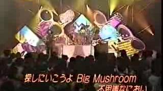 Shonen Knife Brown Mushrooms