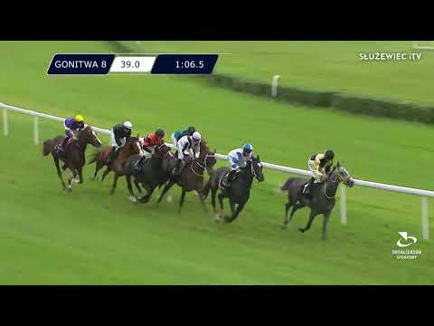 29.05.2022 - (Dzień 11; Gonitwa 8)