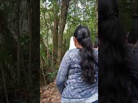 de pasada por una de las cascadas de la cocha# San José de minas ecuador..