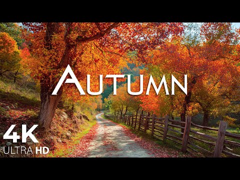 Enchanting Autumn Forests with Beautiful Piano Music🍁4K Autumn Ambience & Fall Foliage