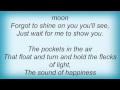 The Apples In Stereo - Sunndal Song Lyrics