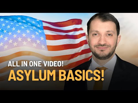 Asylum Law | Vibepedia