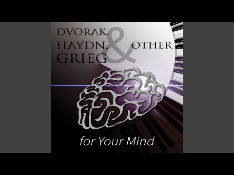 Piano Sonata No. 7 in D Major, Hob XVI/D1: III. Finale – Presto ma non troppo