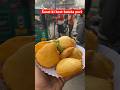 Surat Ki Best Bateta Puri Streetfood Shortsviral Shorts Khanaindiakabites
