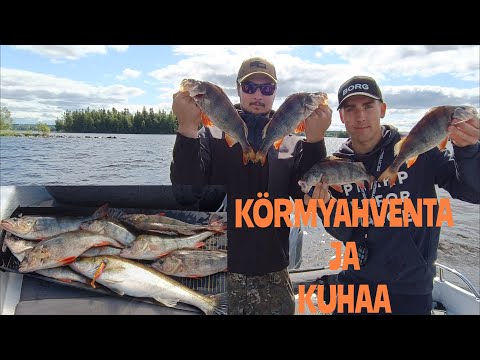 AHVEN JA KUHA HURJALLA PURULLA | TUMPPIHAUET KIUSANA