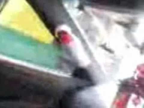 MONKEY ATTACKING MY WIFE