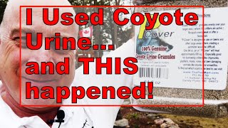 I Used Coyote Urine on my Hosta Gardens...and THIS Happened!