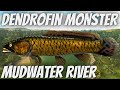 Fishing Planet How To Catch Dendrofin Monster Mudwater River Monster Fish