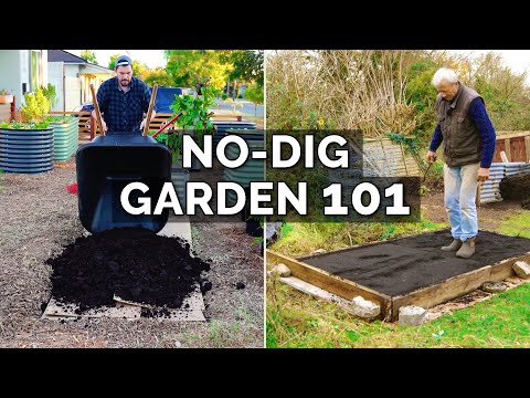 9 Beginner Raised Bed Garden Mistakes to Avoid