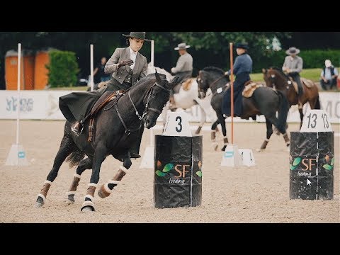 II Jogos Equestres de Ponte de Lima