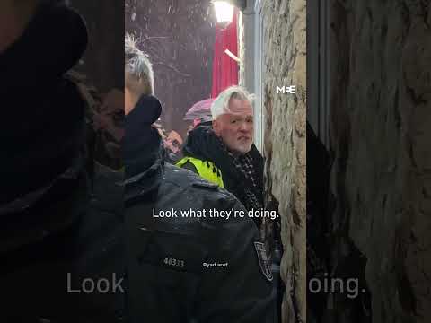 Berlin police arrest activists at Palestine solidarity protest