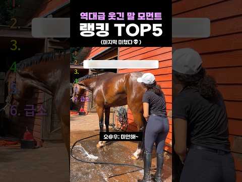 역대급 웃긴 말 모먼트 랭킹 TOP5