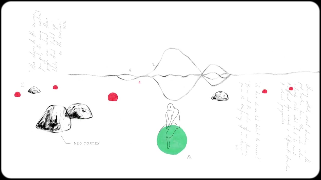 'Beautiful figures' clip (Soetkin Verstegen, Belgium)