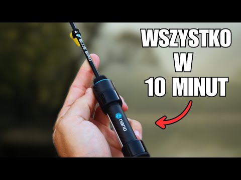 How to catch whitefish with spinning in 2024