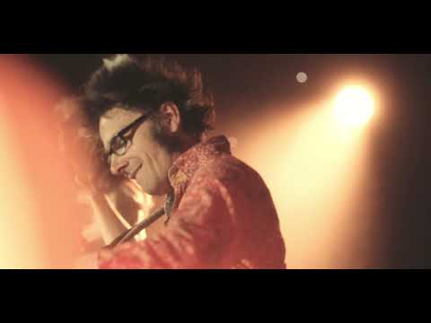 gruberich drunken alpaka