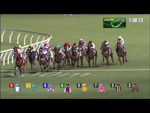 14/7/2021 (832) Leap Of Faith - J Moreira