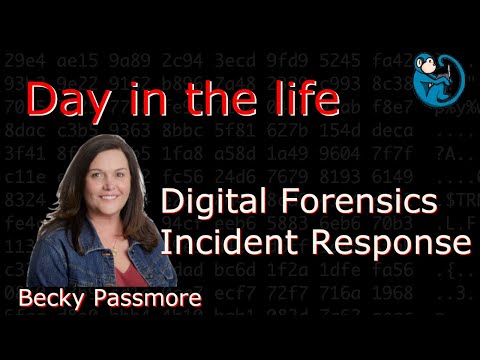 Day in the Life of DFIR (Digital Forensics and Incident Response) - interview with Becky Passmore