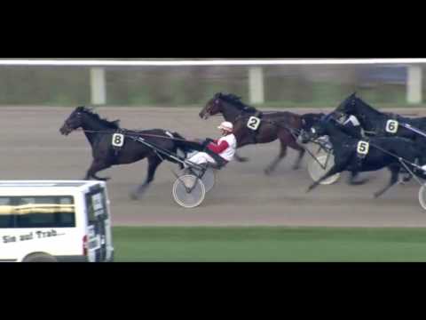 Preis von Osdorf_Strauss_Jan Dirk Walter_Hamburg_23.11.2014