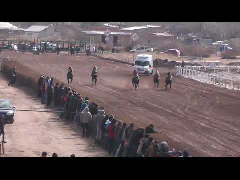 Décima primera carrera, Premio Palo y a la bolsa, distancia 500 metros