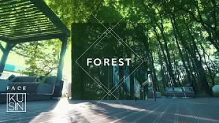 Face Kusin  Summer Forest