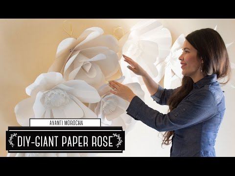 download lagu mp3 mp4 Cano De La Rosa De Paper, download lagu Cano De La Rosa De Paper gratis, unduh video klip Cano De La Rosa De Paper