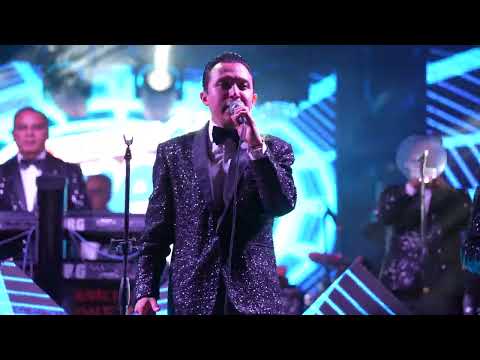 Llorar Quedito - Internacionales Conejos 4K