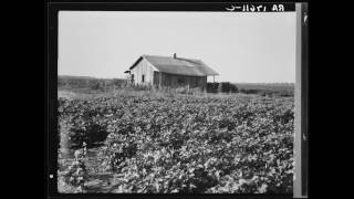 American Folk Music (Southern): It Makes a Long Time Man Feel Bad