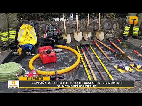 Campaña Yo cuido los bosques busca reducir número de incendios forestales