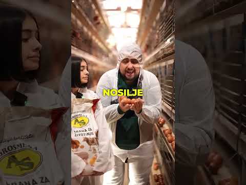 Teletabisi na farmi jaja 😆