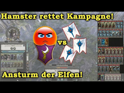 Hamster rettet eure Kampagne! Dunkelelfen vs Hochelfen - Total War: Warhammer 2 deutsch