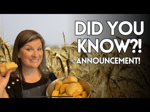 5 fun facts you don’t know about kamut