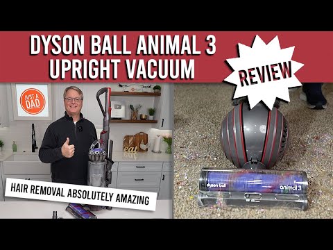Dyson Ball Animal 3 Upright Vacuum Cleaner Review