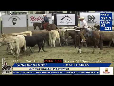 MATT GAINES SUGARR DADDY 4YO OPEN CHAMPION IDAHO FUTURITY 2024