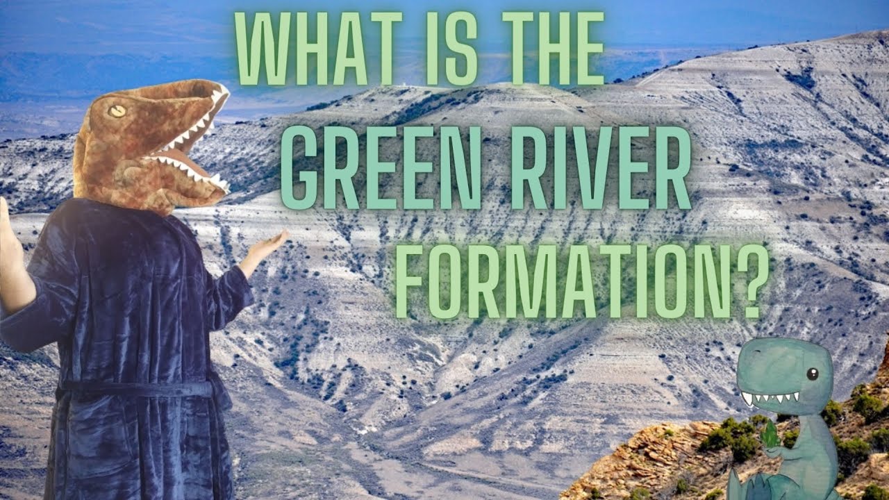 The Green River Formation, What Is It? Why Are It's Fossils So Well Preserved? #mining #fossil