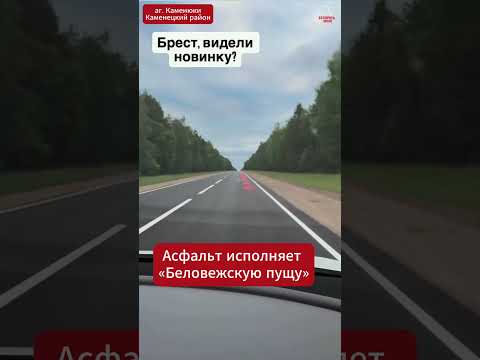 🚘✨🛣  🎶 Дороги, которые поют!