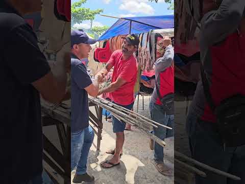Feira de gado de Campo Grande Alagoas  todos os sábado 03/10/2026  ERIEL OFICIAL 🎥