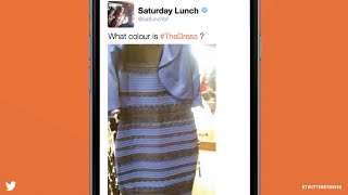 Blue & Black or White & Gold? How The Dress broke the internet | Twitter Stories