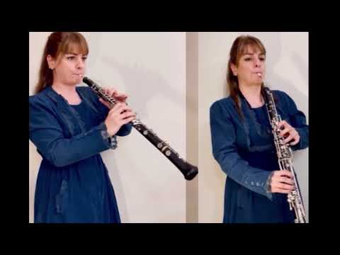 W.A.Mozart : 12 duets KV 487 , no 1