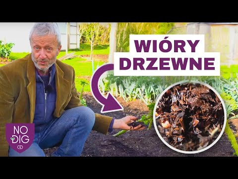 Poznaj 5 kreatywnych sposobów na wykorzystanie zrębków drzewnych.