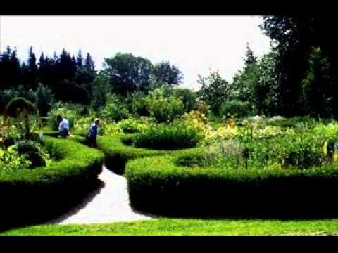 Goran Todorovski - Mi ja zede srekata