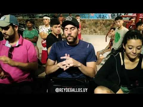 CDV F5: KJA vs SLOW - 4tos