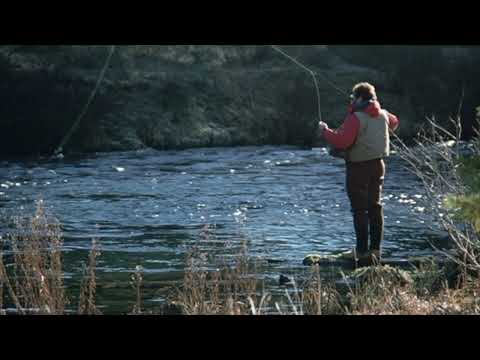 Pauline Kill Watershed