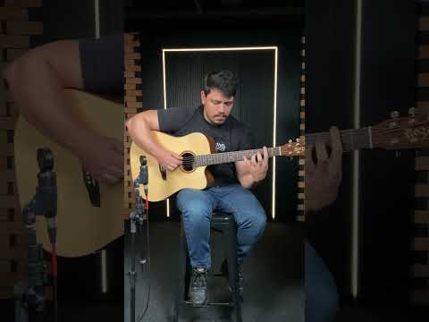 Nostalgia - Sauerkraut