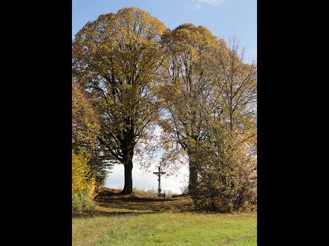 2014 - 2015 Prehľad roka farnosť Priechod