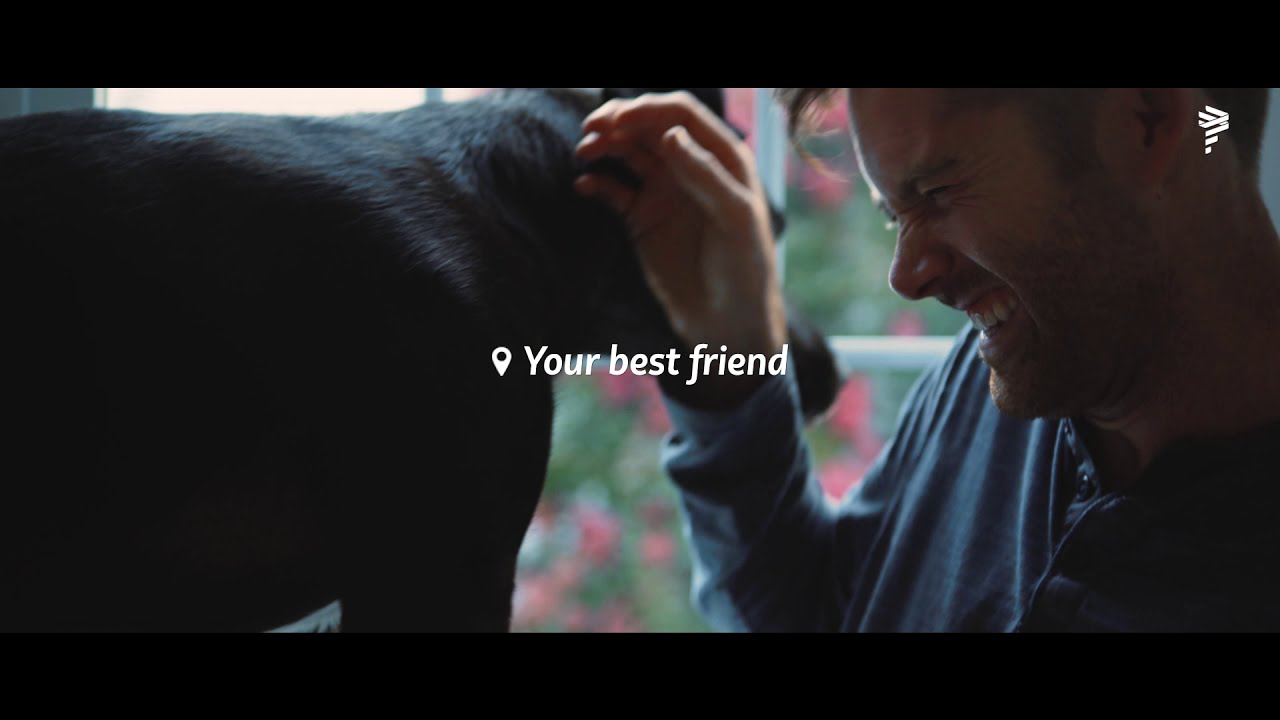 Your best friend - What makes you fly