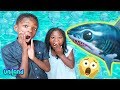 Daxton And Paisley Escape A Shark Attack UniLand Kids